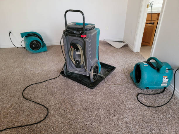 Professional Water damage restoration in Gotha, FL