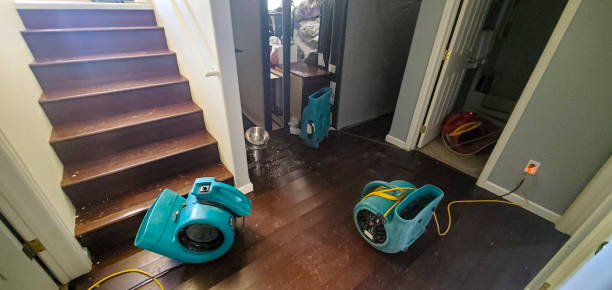 Best Flood damage cleanup  in Gotha, FL