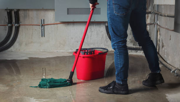 Best Sewage cleanup and water damage restoration  in Gotha, FL