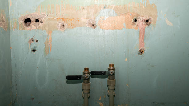 Best Sewage cleanup and water damage restoration  in Gotha, FL