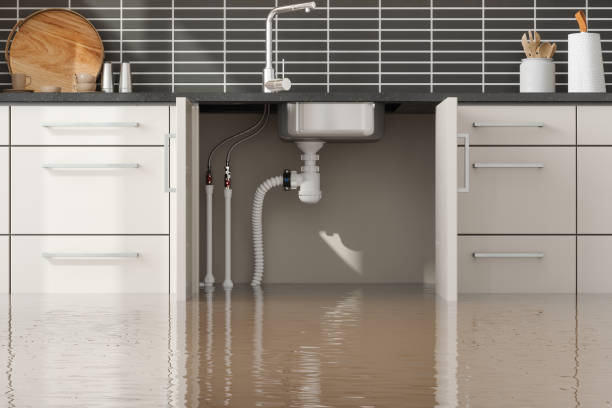 Best Flooded house restoration  in Gotha, FL