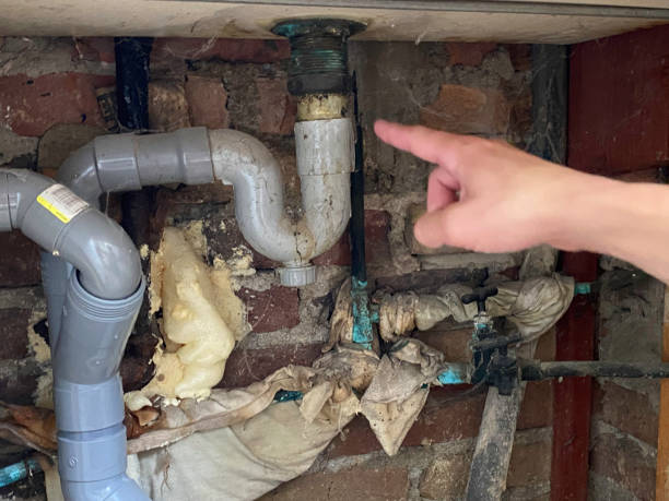 Best Water damage restoration near me  in Gotha, FL