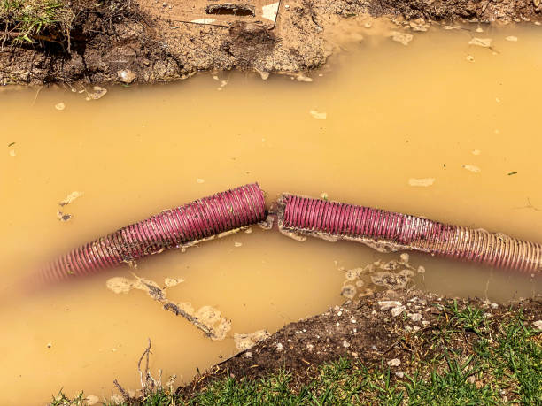 Best 24/7 water damage repair  in Gotha, FL