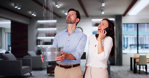 Sewage cleanup and water damage restoration in Gotha, FL