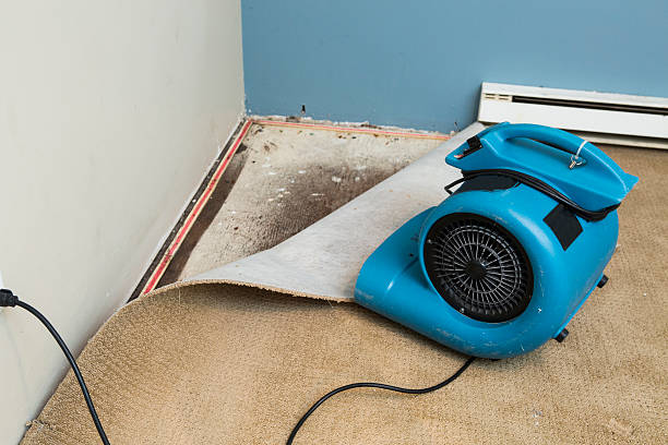 Best Flood restoration services  in Gotha, FL